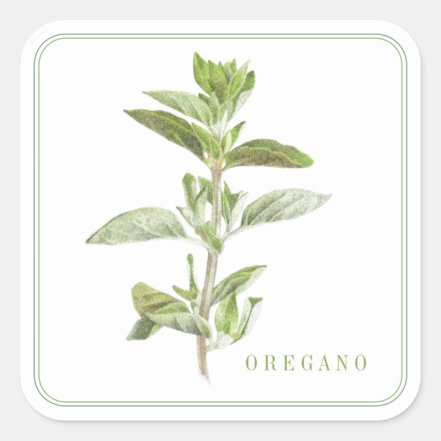 PEGATINAS GRANDES DE OREGANO (Anverso)
