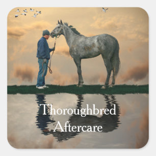 Pegatinas Gray Horse And Groom OTTB