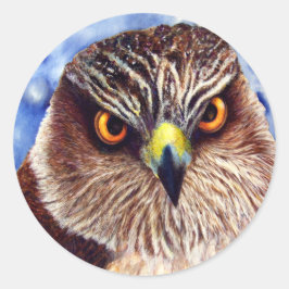Pegatinas Hawk
