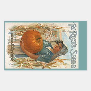 PEGATINAS Heirloom Semillas de calabaza antigua Se