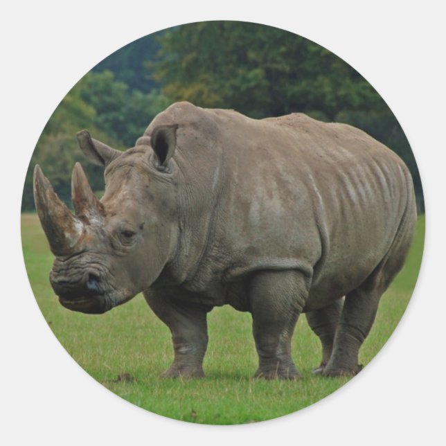 Pegatinas Hippotamus (Anverso)