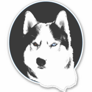 Pegatinas Husky Bi-Eye Husky Malamute Decretos