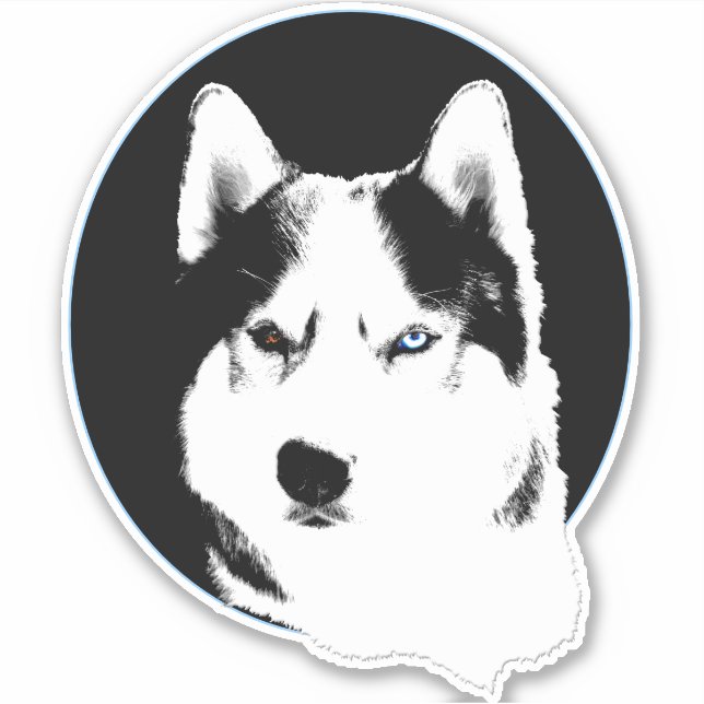 Pegatinas Husky Bi-Eye Husky Malamute Decretos (Anverso)