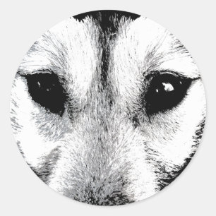 Pegatinas Husky Pegatinas del grupo Siberian Husky