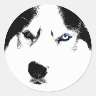Pegatinas Husky Pegatinas Siberian Husky Malamute