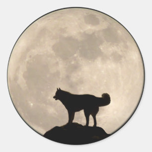 Pegatinas Husky Pegatinas Siberian Husky Malamute