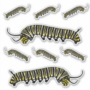 Pegatinas ilustrados Monarch Butterfly Caterpillar