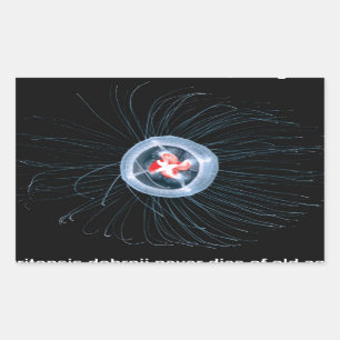 Pegatinas inmortales del rectángulo de las medusa