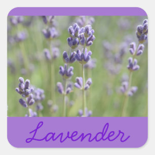 Pegatinas inspirados en el lavanda