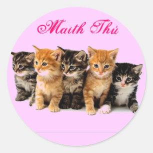 Pegatinas irlandeses de la recompensa de la lengua