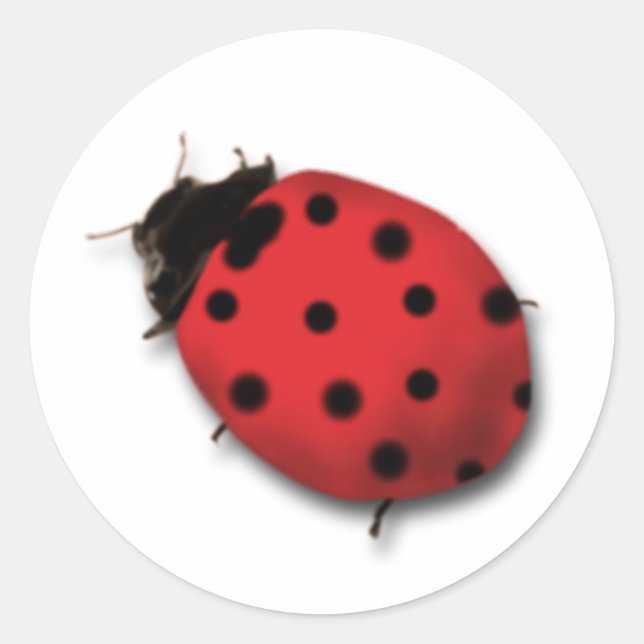 Pegatinas Ladybug (Anverso)