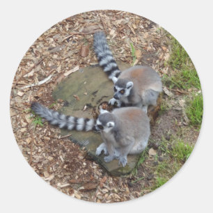 Pegatinas Lemur #1