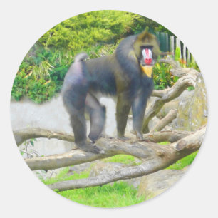 Pegatinas Mandrill #7