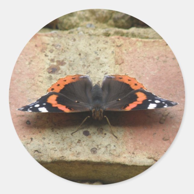 Pegatinas Mariposa del Almirante Rojo (Anverso)