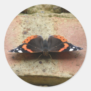 Pegatinas Mariposa del Almirante Rojo