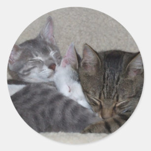 Pegatinas mascotas