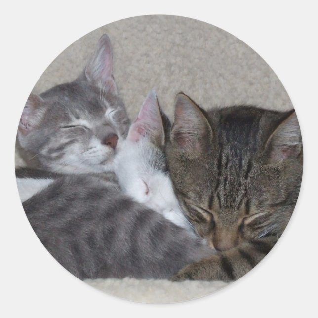 Pegatinas mascotas (Anverso)