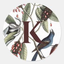 Pegatinas Monogramas *Carolina Porch*