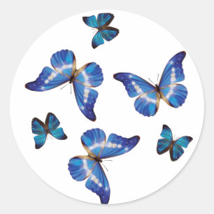 Pegatinas Morpho Butterflies