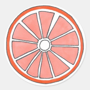 Pegatinas naranjas de la rebanada de frutas de cít