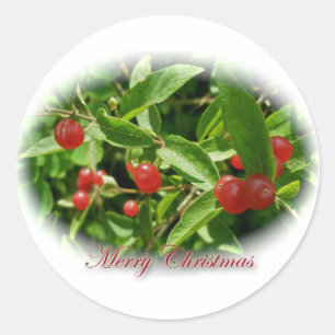 Pegatinas navideñas de Honeysuckle Berries
