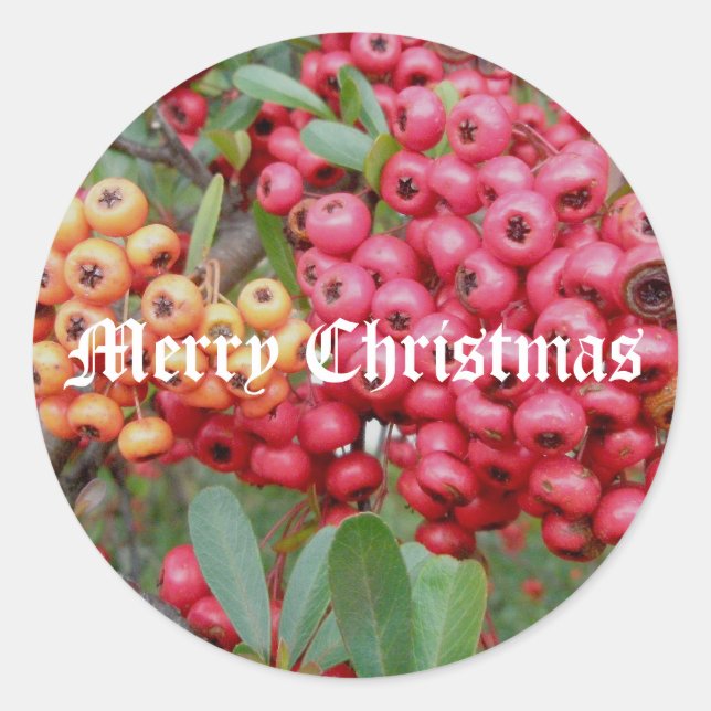 Pegatinas navideñas de las Berries Rojas (Anverso)