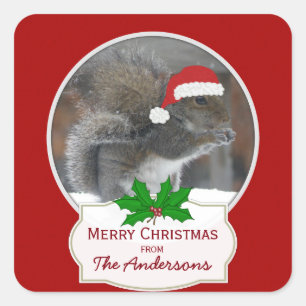 Pegatinas navideñas personalizadas de la ardilla