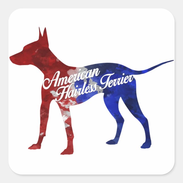Pegatinas norteamericanos de Hairless Terrier (Anverso)