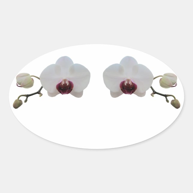 Pegatinas - Orquídea Blanca De Cuerdas (Anverso)