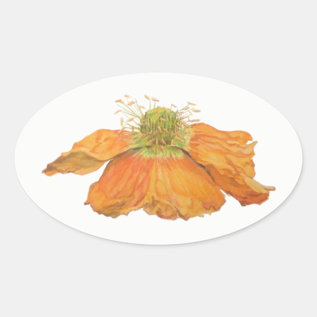 Pegatinas ovales de la amapola islandesa (Anverso)