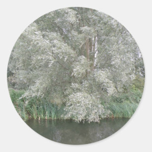 Pegatinas paisajistas de árboles blancos y ríos