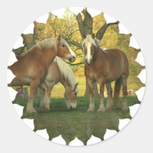 Pegatinas Palomino Borrador de Caballos