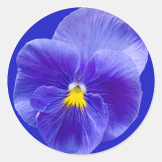 Pegatinas Pansy