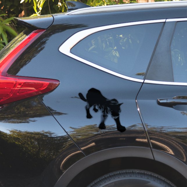 PEGATINAS PARA AUTOS ETC (Lado del coche)