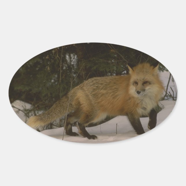 Pegatinas para crear su propio proyecto - un Fox (Anverso)