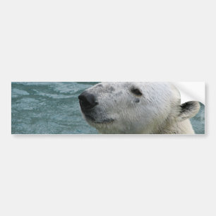 Pegatinas para el parachoques del perfil del oso