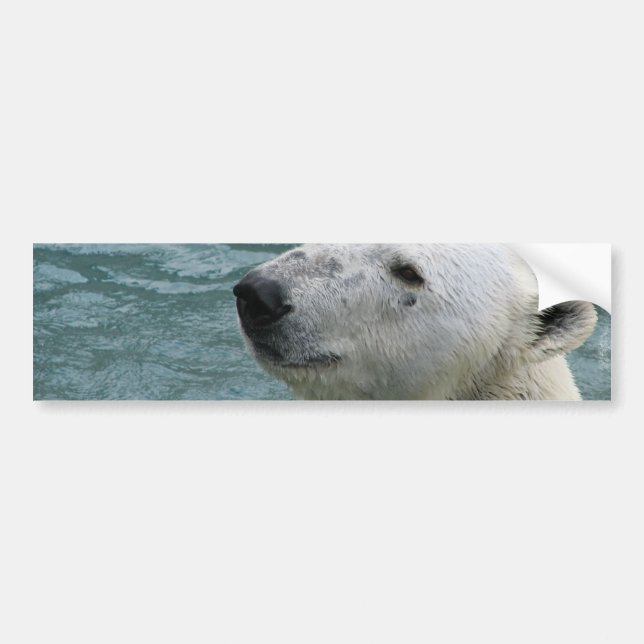 Pegatinas para el parachoques del perfil del oso (Frente)
