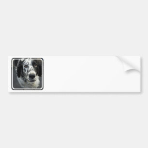 Pegatinas para el parachoques del perro del