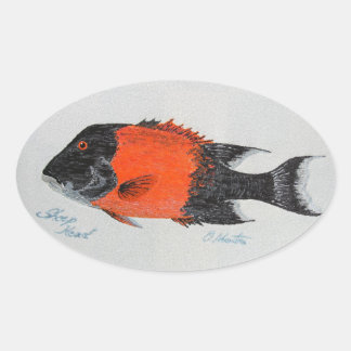 Pegatinas para parachoques bubblepacífico, sheepsh