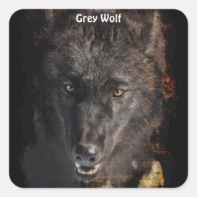 Pegatinas partidarios de Black GRAY WOLF Wildlife (Anverso)