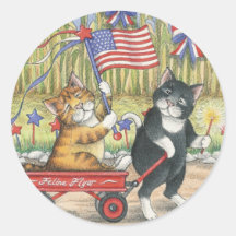 Pegatinas patrióticos de B y T #19