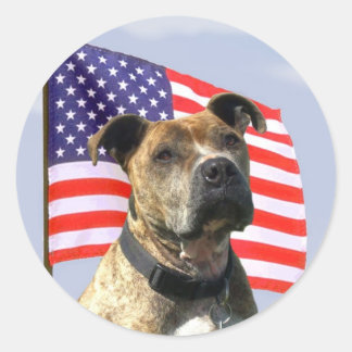 Pegatinas patrióticos de pitbull