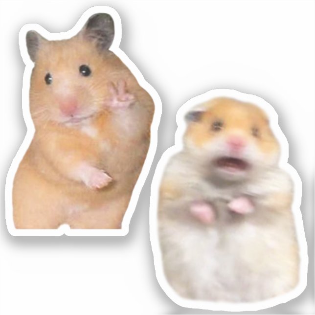 Pegatinas Paz + Asustamiento de Hamster Meme (Anverso)