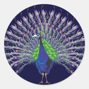 Pegatinas Peacock