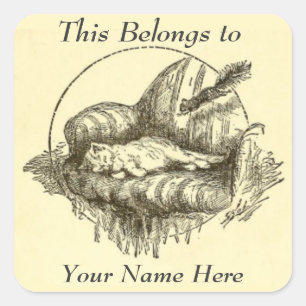 Pegatinas personales del gato y la ardilla