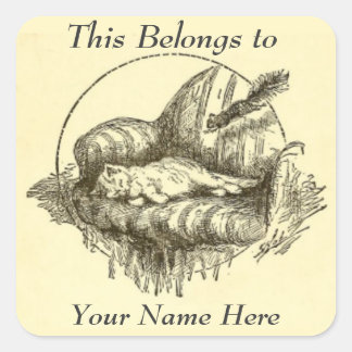 Pegatinas personales del gato y la ardilla