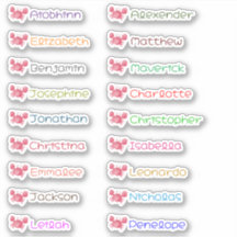 Pegatinas personalizadas con varios nombres para e
