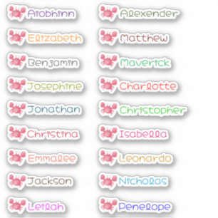Pegatinas personalizadas con varios nombres para e