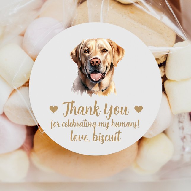 Pegatinas personalizadas de boda de perro Labrador (Subido por el creador)