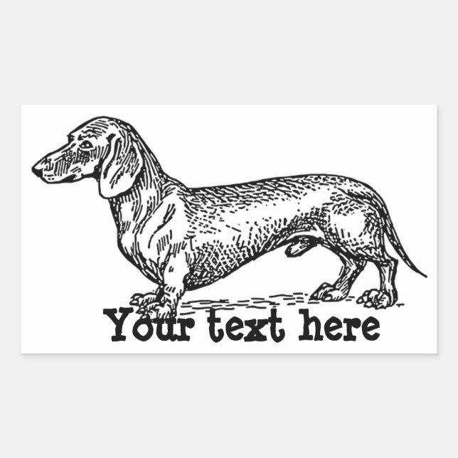 Pegatinas personalizadas de dachshund (Anverso)